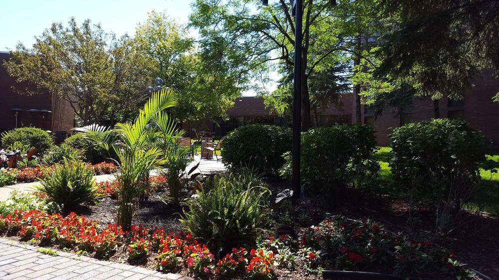 Delta By Marriott Northeast 3* Minneapolis